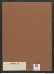 Diatomeae indet. Zeichnungen Sammlung Grunow Mappe 02310 (Herbarium_W_Grunow_drawings_Folder_02310)